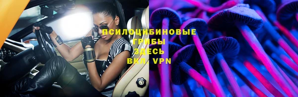 Альфа ПВП Белокуриха