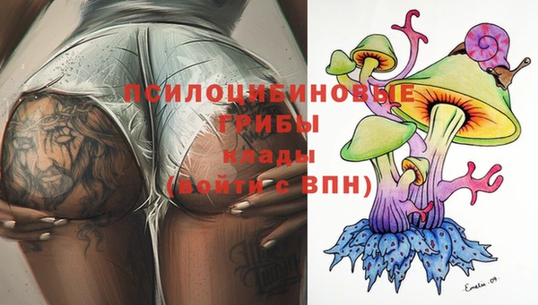 PSILOCYBIN Беломорск