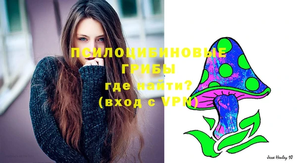 PSILOCYBIN Беломорск