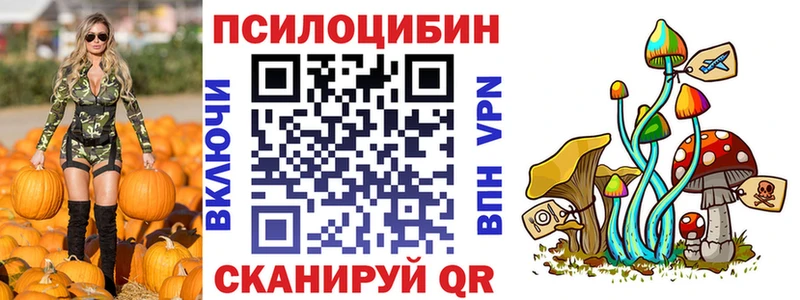 дарк нет состав MEGA маркетплейс Кузнецк Псилоцибиновые грибы Psilocybe